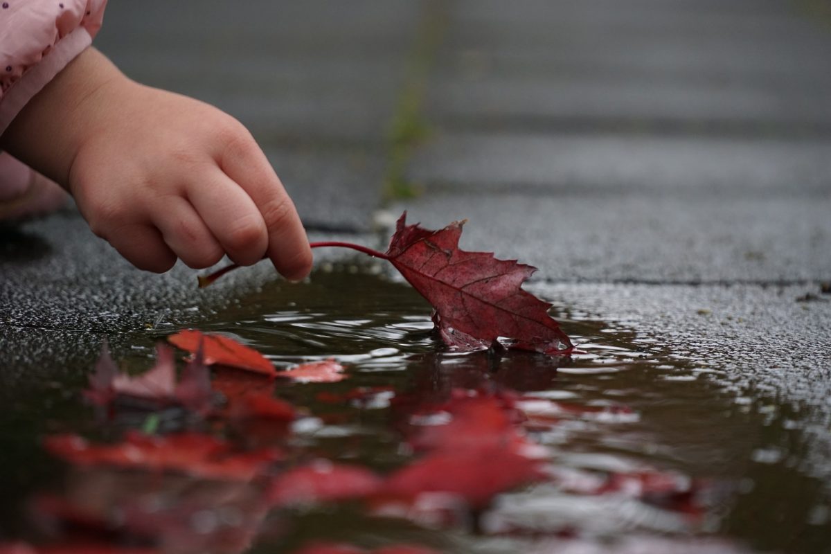 fall-ge59b4c6e2_1920-1200x800.jpg